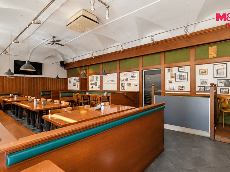 Pronájem komerčního prostoru, 194 m² (4 z 20)