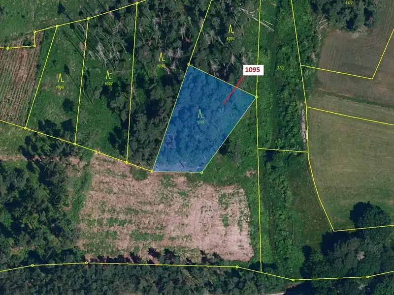 Dražba lesa 1427 m², Mladoňovice – náhled fotky 2