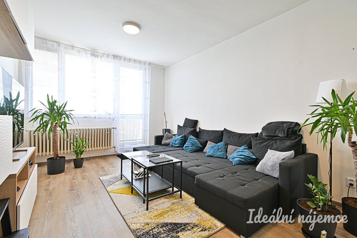 Pronájem bytu 2+1 55 m² – fotografie 4