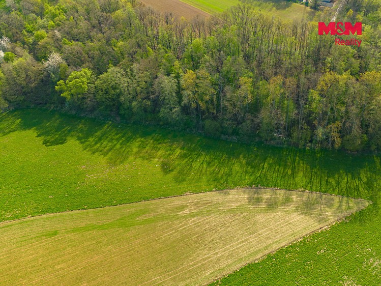 Grundstück zum Kauf, 4.100 m² (6 von 12)