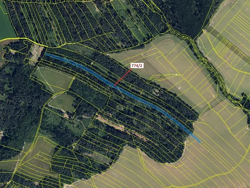 Dražba lesa 7901 m², Přemyslovice – náhled fotky 2