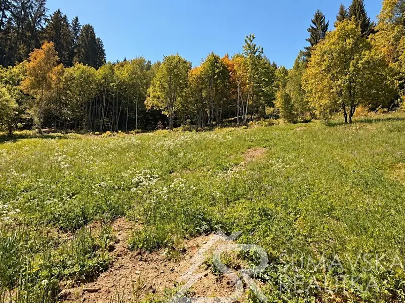 Prodej stavebního pozemku 2979 m², Rejštejn – náhled fotky 3