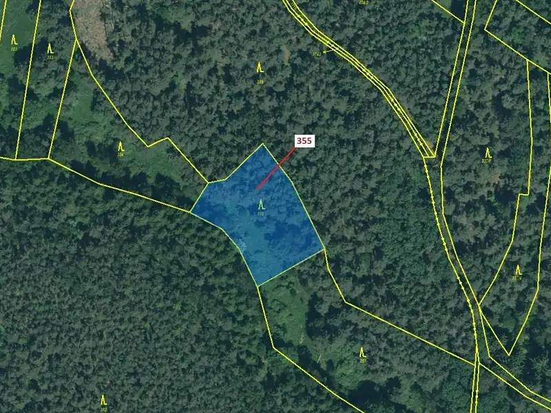 Dražba lesa 1924 m², Jesenice – náhled fotky 2