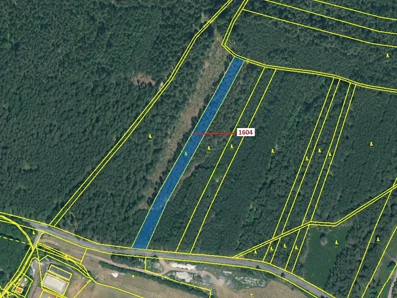 Dražba lesa 4076 m², Jesenice – náhled fotky 2