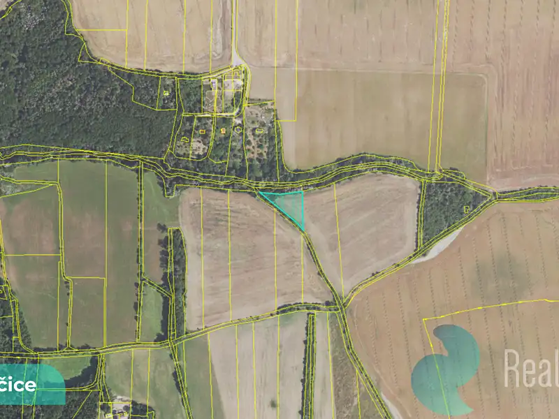 Prodej pole 2891 m², Drahelčice – náhled fotky 2