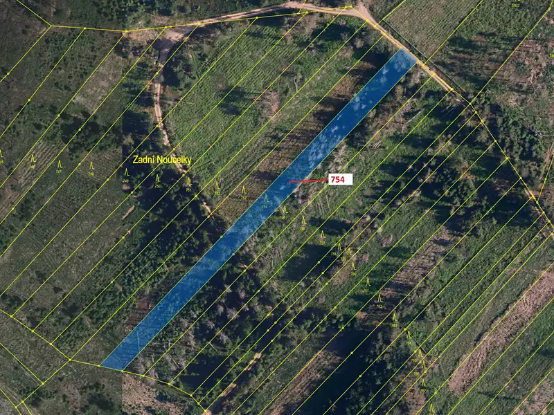 Dražba lesa 2930 m², Knínice – náhled fotky 2