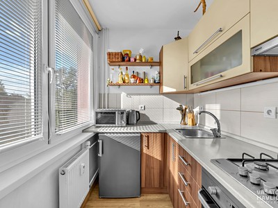 Wohnung 1+kk zum Kauf, 28 m² (2 von 18)