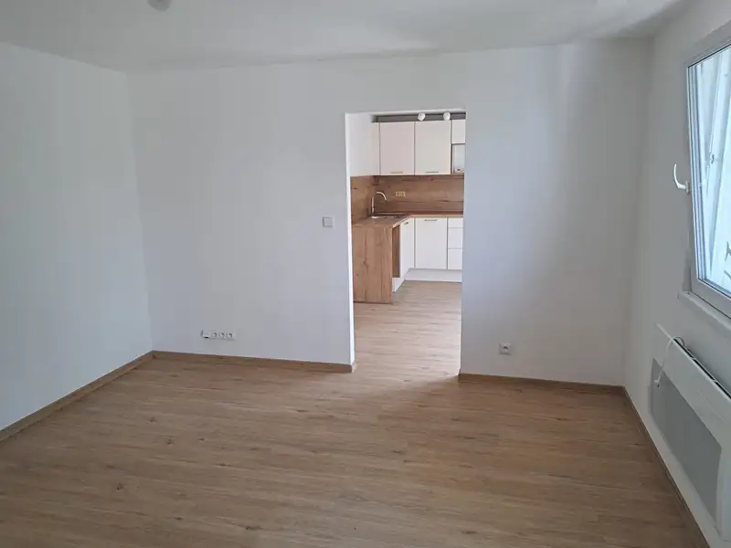Pronájem bytu 3+1 77 m², Kamenný Přívoz – náhled fotky 2