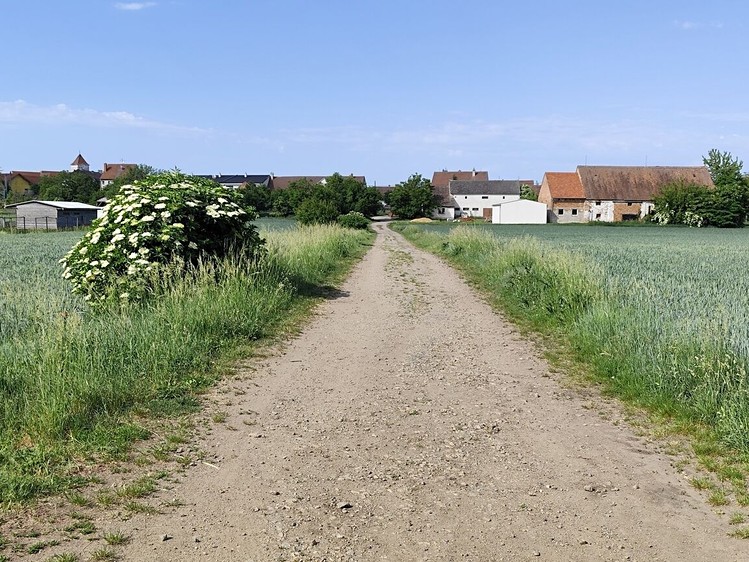 Ostatní