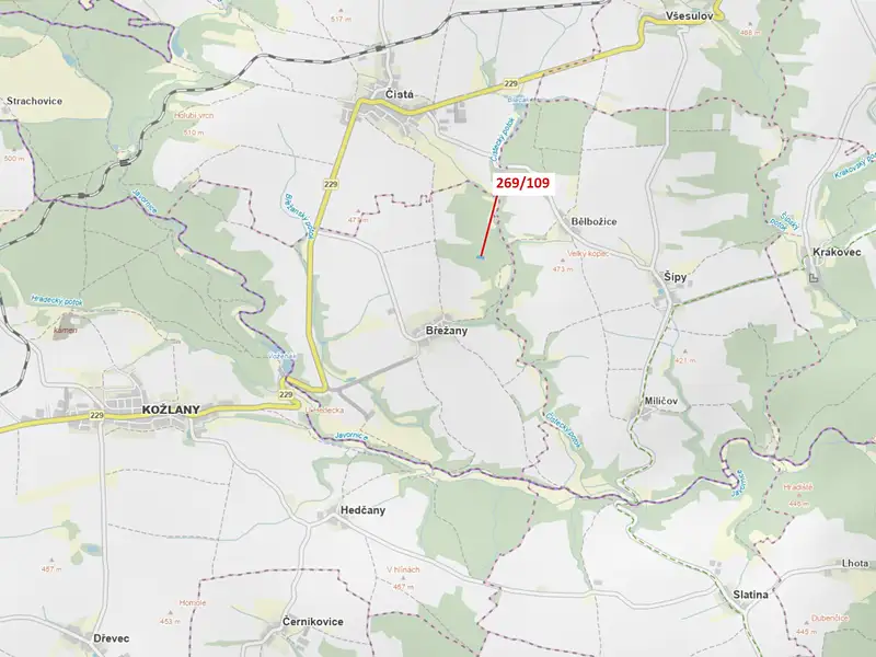 Dražba lesa 1949 m², Břežany – náhled fotky 1
