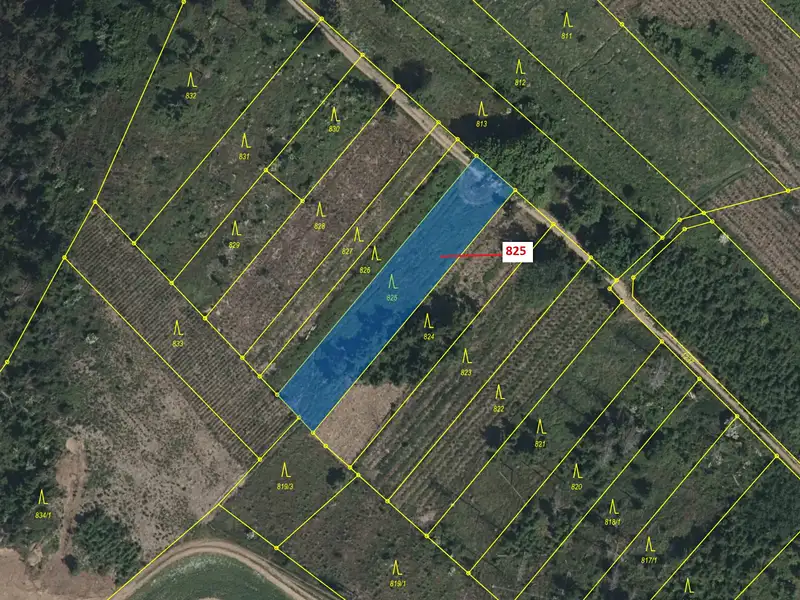 Dražba lesa 1364 m², Knínice – náhled fotky 2