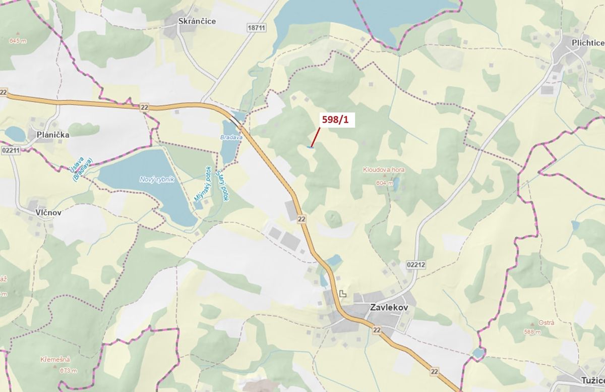 Dražba louky 272 m², Zavlekov – fotka 1 z 3
