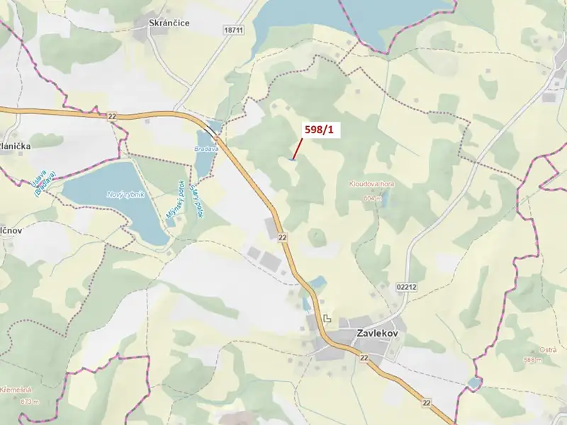 Dražba louky 272 m², Zavlekov – náhled fotky 1