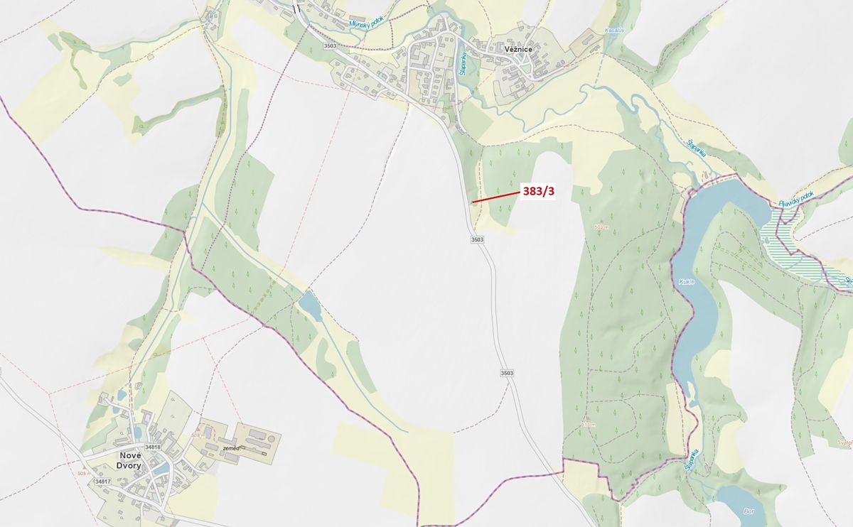 Dražba lesa 20 m², Věžnice – fotka 1 z 3