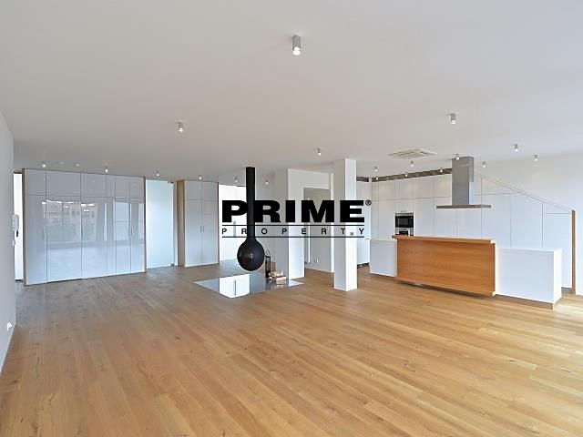 Wohnung 4+kk zur Miete, 200 m² (4 von 31)
