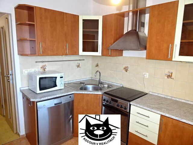 Pronájem bytu 2+1 54 m²