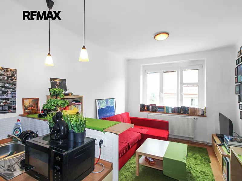 Prodej bytu 1+kk v osobním vlastnictví 27 m², Praha 3 - Žižkov