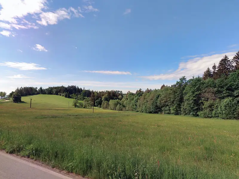 Prodej louky 12868 m², Dalečín – náhled fotky 2