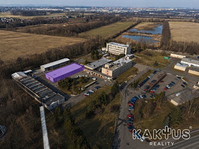 Gewerbefläche zur Miete, 600 m² (3 von 48)