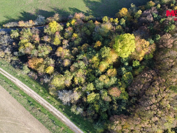 Prodej pozemku, 4 731 m² (3 z 11)