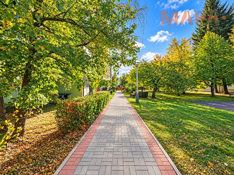 Pronájem bytu 1+1, 35 m² (14 z 19)
