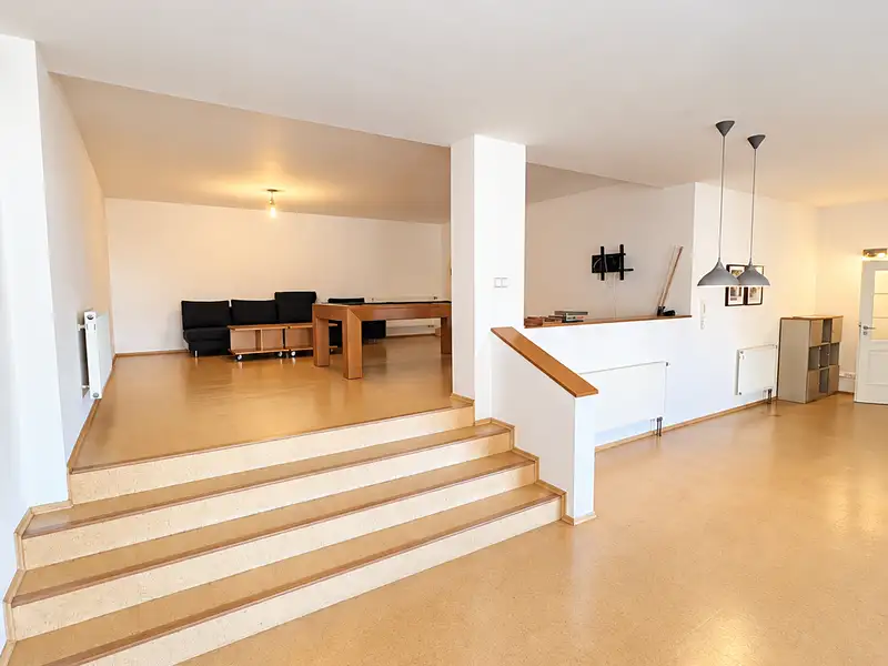Prodej vícegeneračního domu 983 m², pozemek 623 m², Plzeň – náhled fotky 3