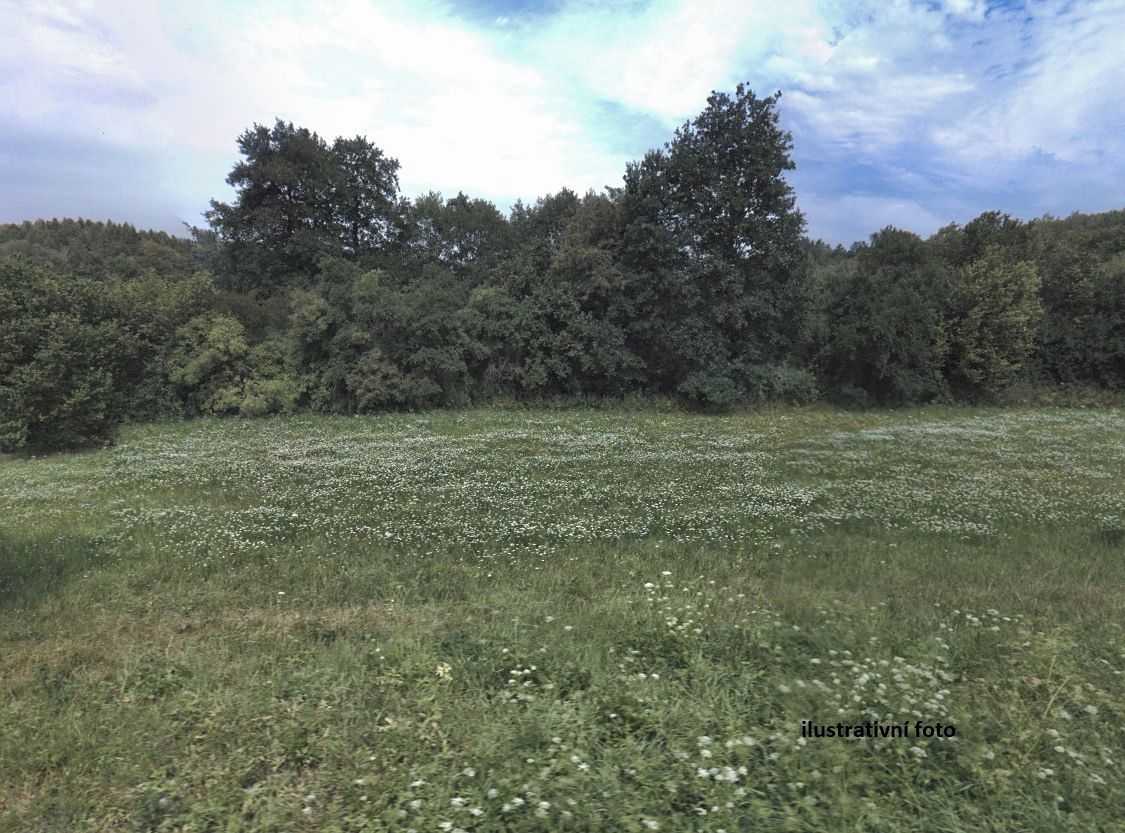 Prodej zahrady 955 m²