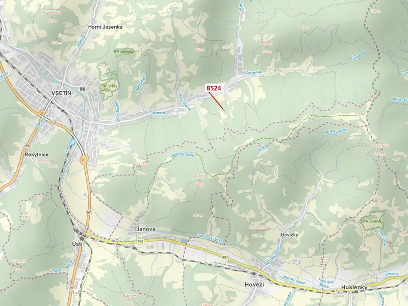 Dražba lesa 939 m², Vsetín – náhled fotky 1