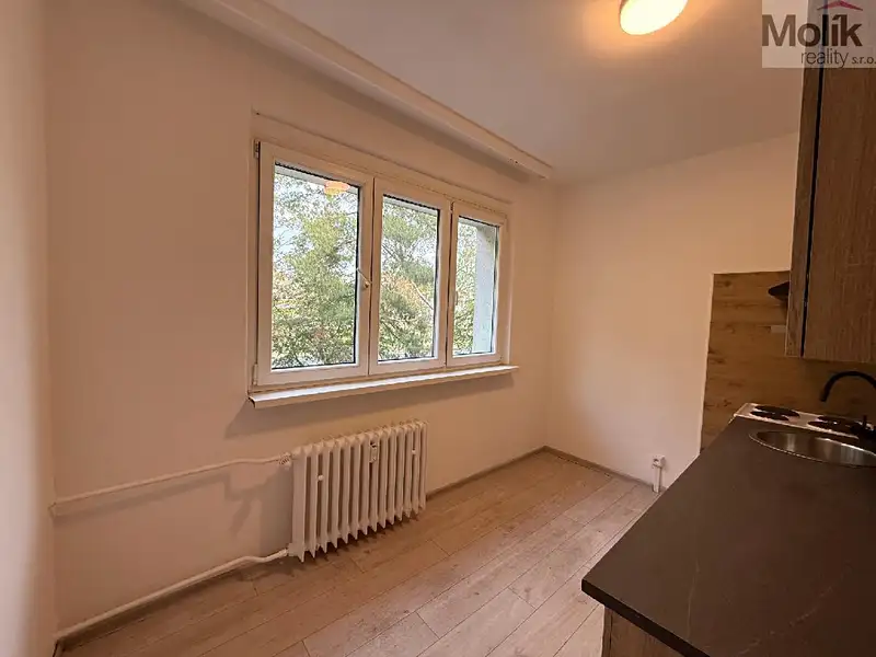 Pronájem bytu 2+1 55 m², Bílina – náhled fotky 2