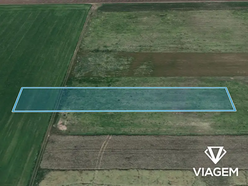Prodej pole 5543 m², Moravský Žižkov – náhled fotky 2