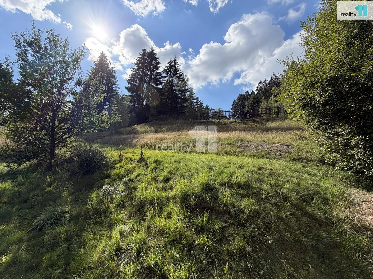 Fotka 14 z 30