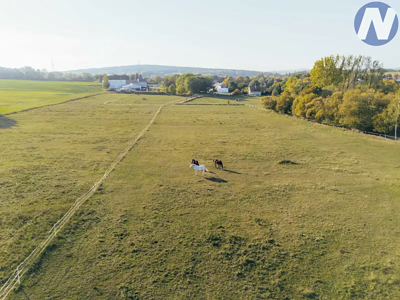 Prodej zemědělské usedlosti 200 m², pozemek 57340 m², Stříbro – náhled fotky 3