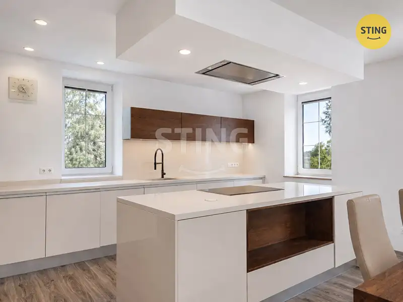 Prodej vily 407 m², pozemek 1880 m², Dolní Benešov – náhled fotky 2
