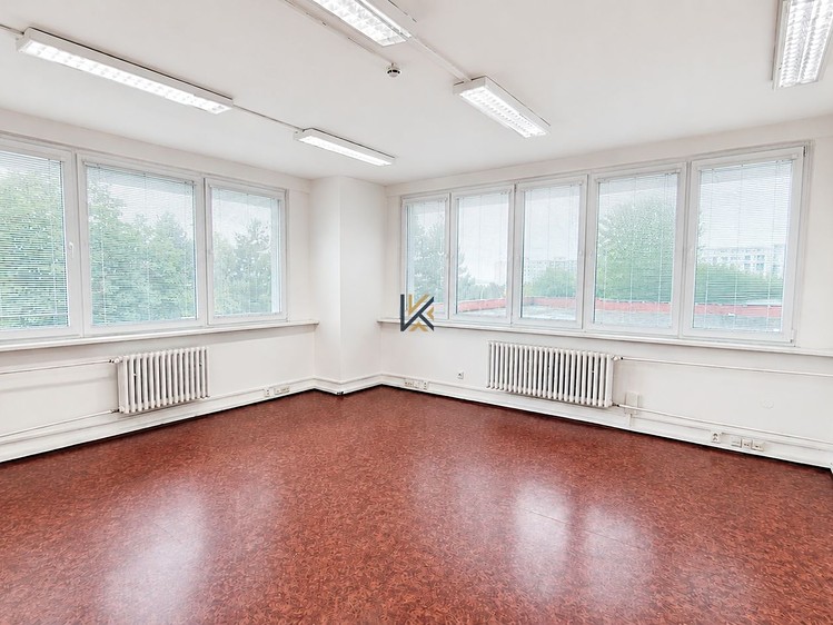 Pronájem komerčního prostoru, 450 m² (3 z 6)