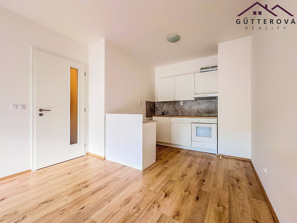 Pronájem bytu 2+kk 48 m², Plzeň – fotka 1 z 3
