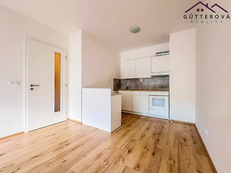 Pronájem bytu 2+kk 48 m², Plzeň – náhled fotky 1