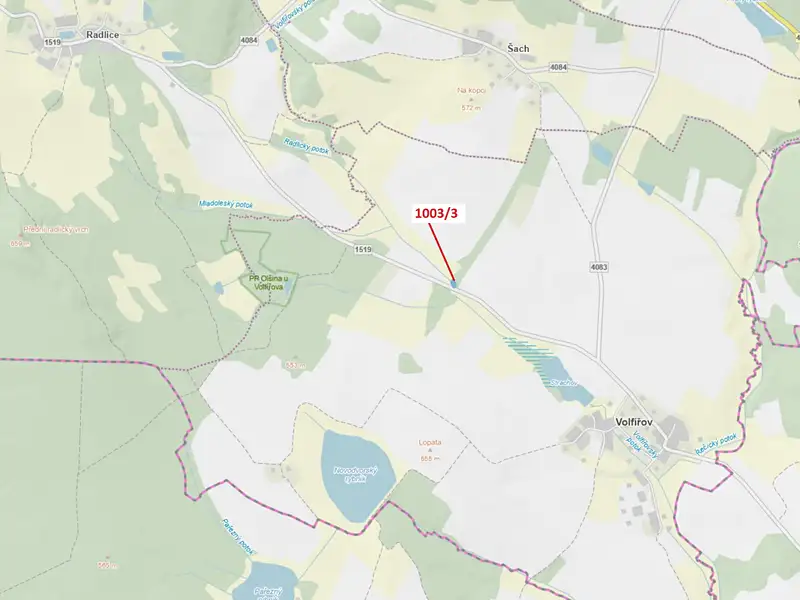Dražba lesa 1093 m², Volfířov – náhled fotky 1