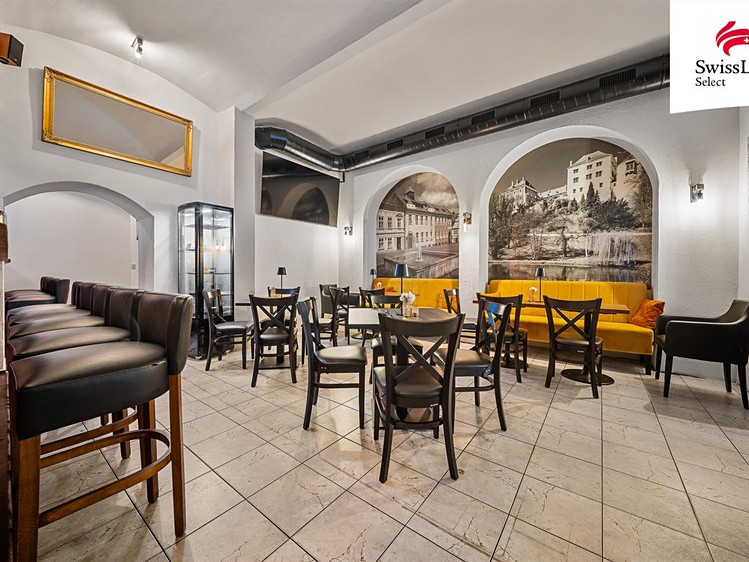Prodej komerčního prostoru, 360 m² (3 z 30)