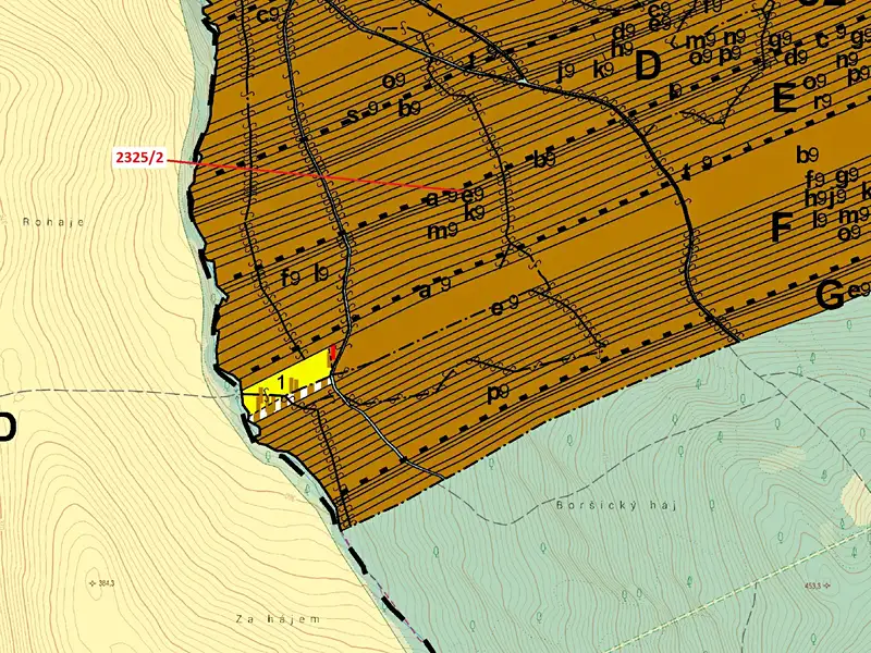 Dražba lesa 2122 m², Slavkov – náhled fotky 3