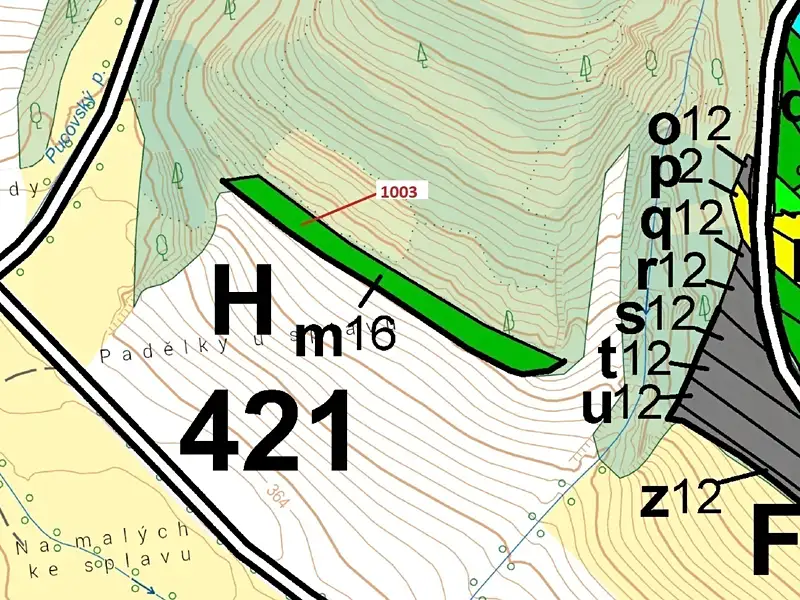 Dražba lesa 3001 m², Náměšť nad Oslavou – náhled fotky 3