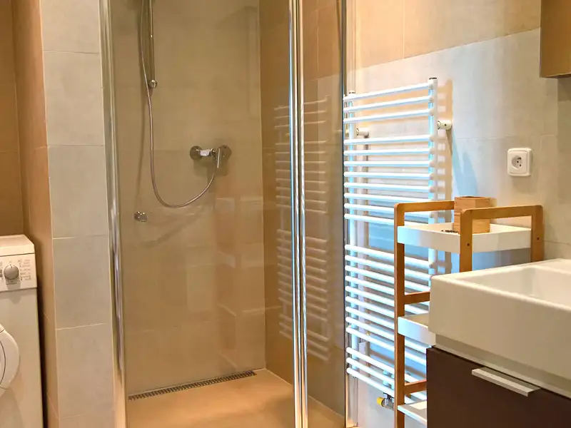 Pronájem bytu 2+kk 64 m², Frýdek-Místek – náhled fotky 3