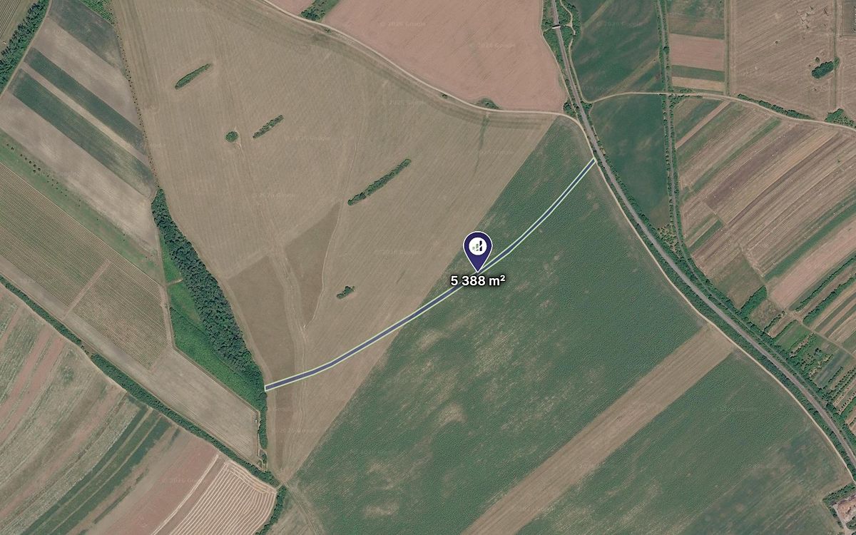 Prodej pole 5388 m²