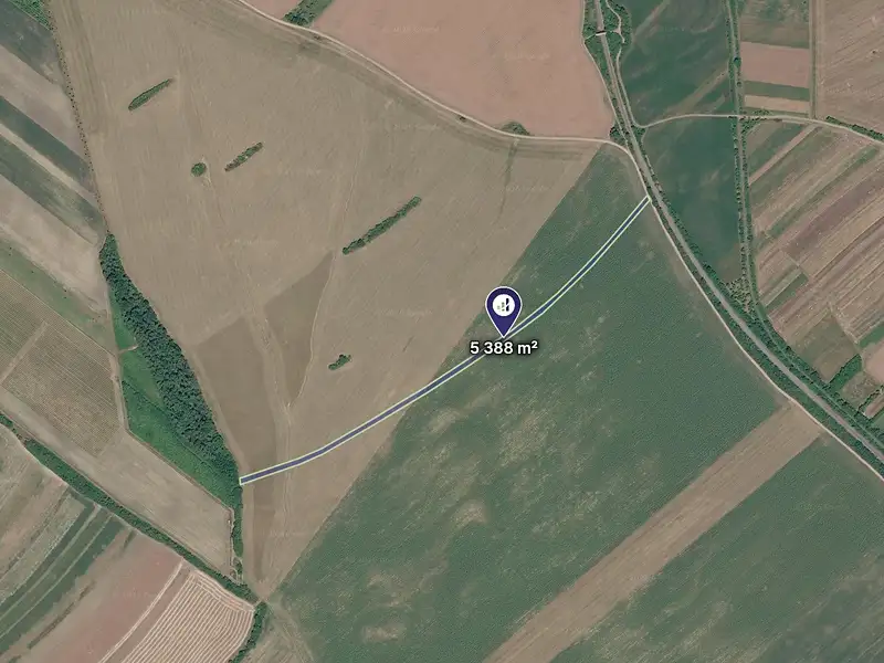 Prodej pole 5388 m², Velká nad Veličkou – náhled fotky 1
