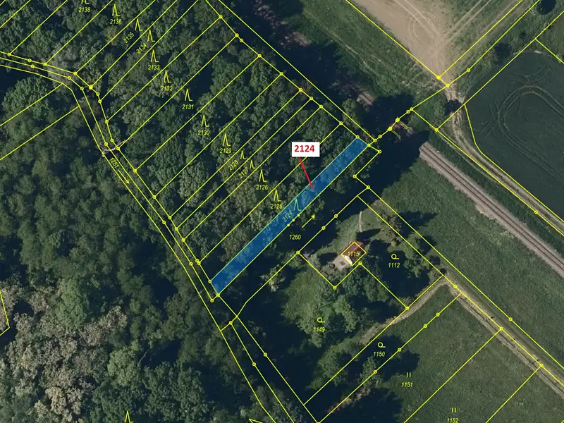 Dražba lesa 380 m², Bezměrov – náhled fotky 2