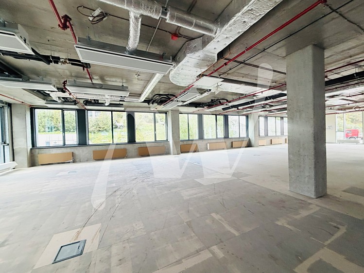 Gewerbefläche zur Miete, 350 m² (11 von 12)