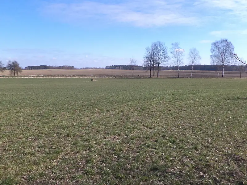 Dražba pole 5200 m², Stříbřec – náhled fotky 2