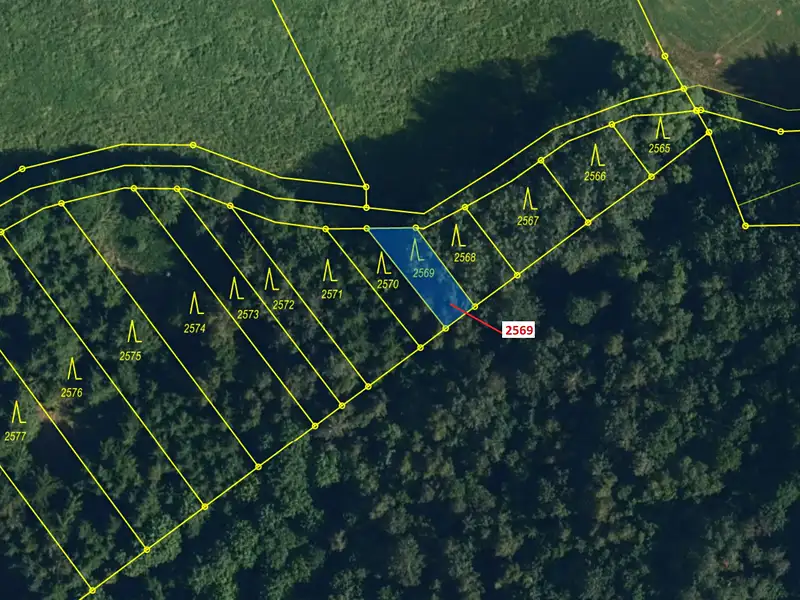 Dražba lesa 155 m², Chotěbudice – náhled fotky 2