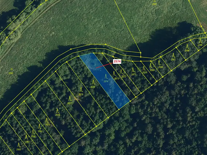 Dražba lesa 782 m², Chotěbudice – náhled fotky 2