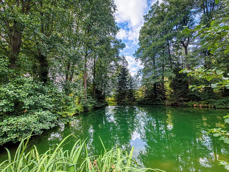 Prodej chalupy 350 m², pozemek 2873 m², Rozsochatec – náhled fotky 3