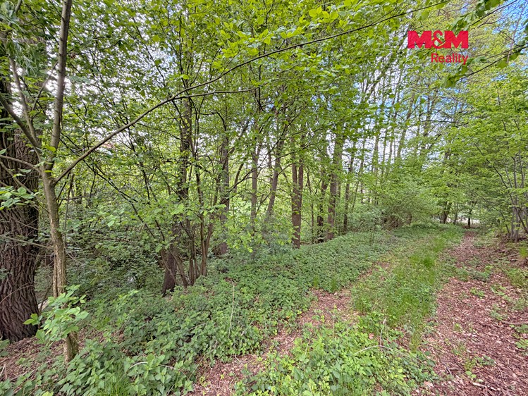 Prodej pozemku, 2 790 m² (13 z 15)